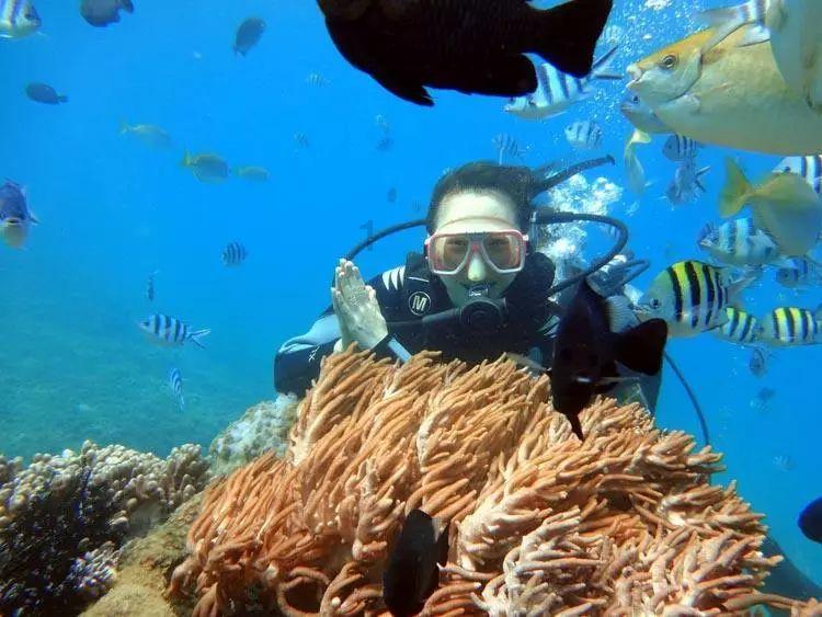 逃出海洋城堡